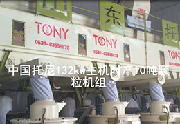 帶水印6臺132kw顆粒機壓制顆粒視頻